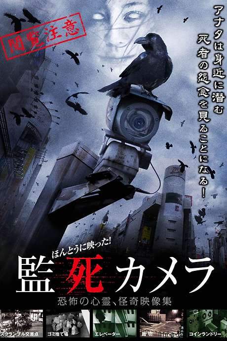 Paranormal Surveillance Camera